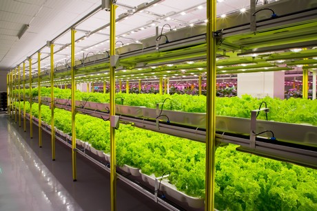 Chinese supplier provides full system from seed to crop